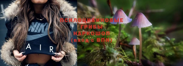 не бодяженный Богданович