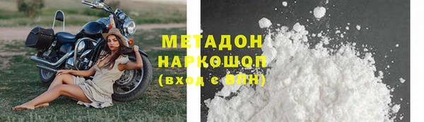 прущие грибы Белокуриха