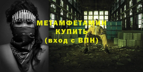 прущие грибы Белокуриха
